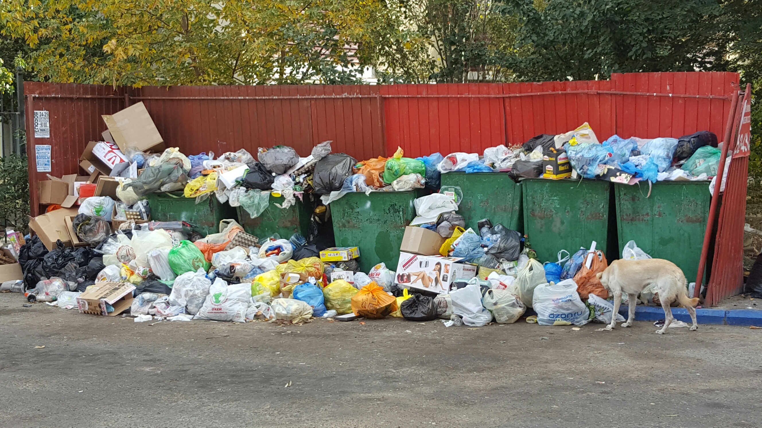 В Астрахани вновь объявлен конкурс на «мусорного» оператора