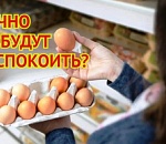 Удар по яйцам-5: в Астраханской области цены на продукт притормозились только по статистике
