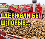 Ставящая рекорды по сбору овощей Астраханская область скромна по получению господдержки АПК