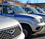 В Астрахани полиция проверяет информацию о гибели уличных  собак в Трусовском районе  
