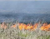 МЧС предупреждает: Астрахань и восемь районов региона сохраняют наивысший класс пожароопасности