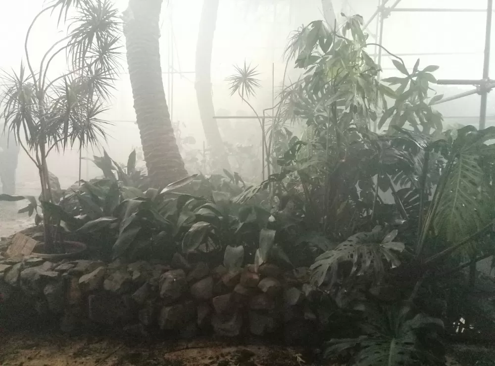 Уникальный ботанический сад XIX в. в Астрахани практически уничтожен     