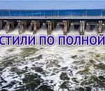 Начался период максимального сброса паводковой воды в Астраханской области. Но поможет ли это нашей «рыбной полке»?