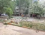 Скончалась девочка, на которую сегодня в Астрахани упало дерево