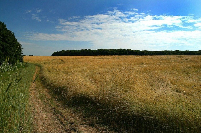 В Астраханской области фермер обнаружил ужасную находку