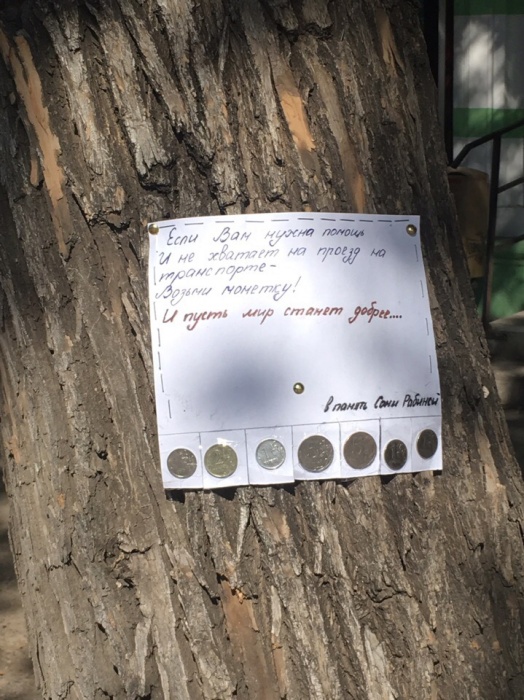 Чудо-дерево. В память об умершей девочке в Астрахани раздают монеты