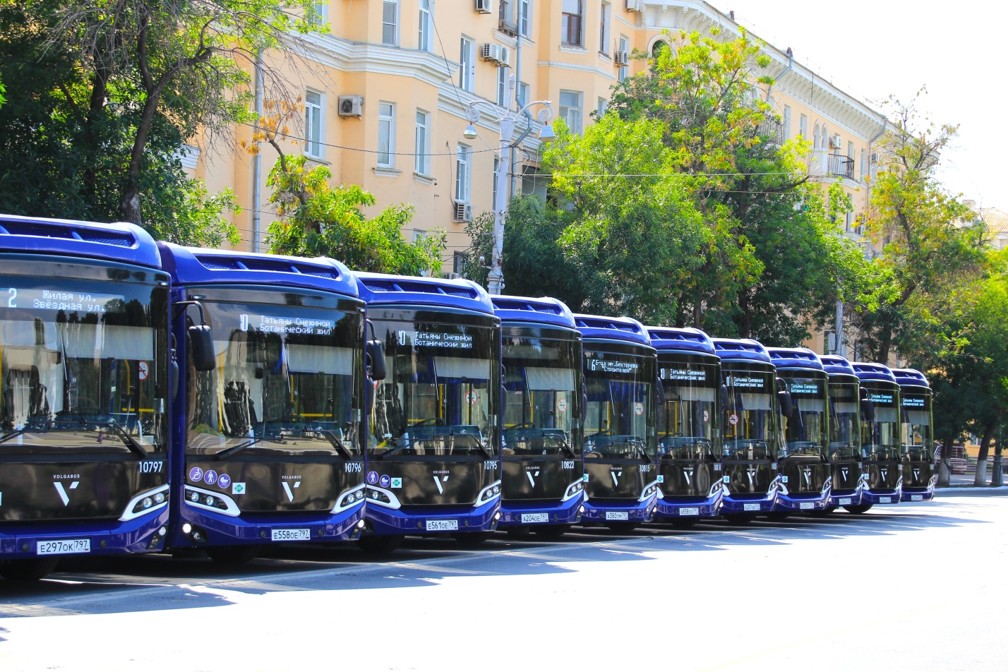 В Астрахань прибыли синие автобусы среднего класса. Фоторепортаж