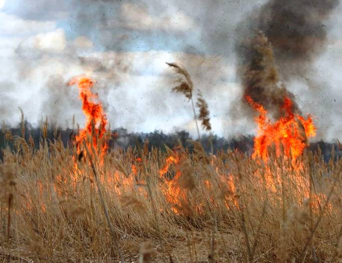 Предупреждение МЧС: почти на всей территории Астраханской области может быть запах гари 