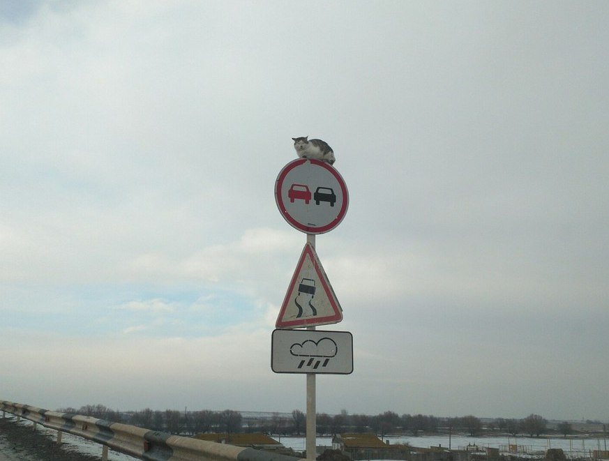 Фото дня: за безопасностью на астраханских дорогах следят камеры нового поколения