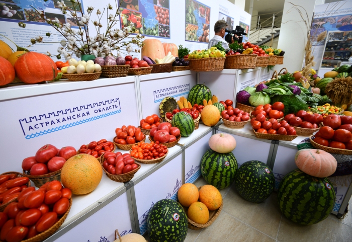 Астраханская область выращивает почти три четверти томатов и четверть  лука в России