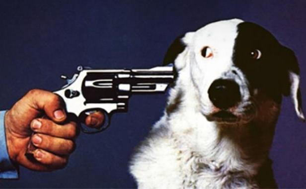 Собаки, мусор, террористы и прочие «казни» Мумринские