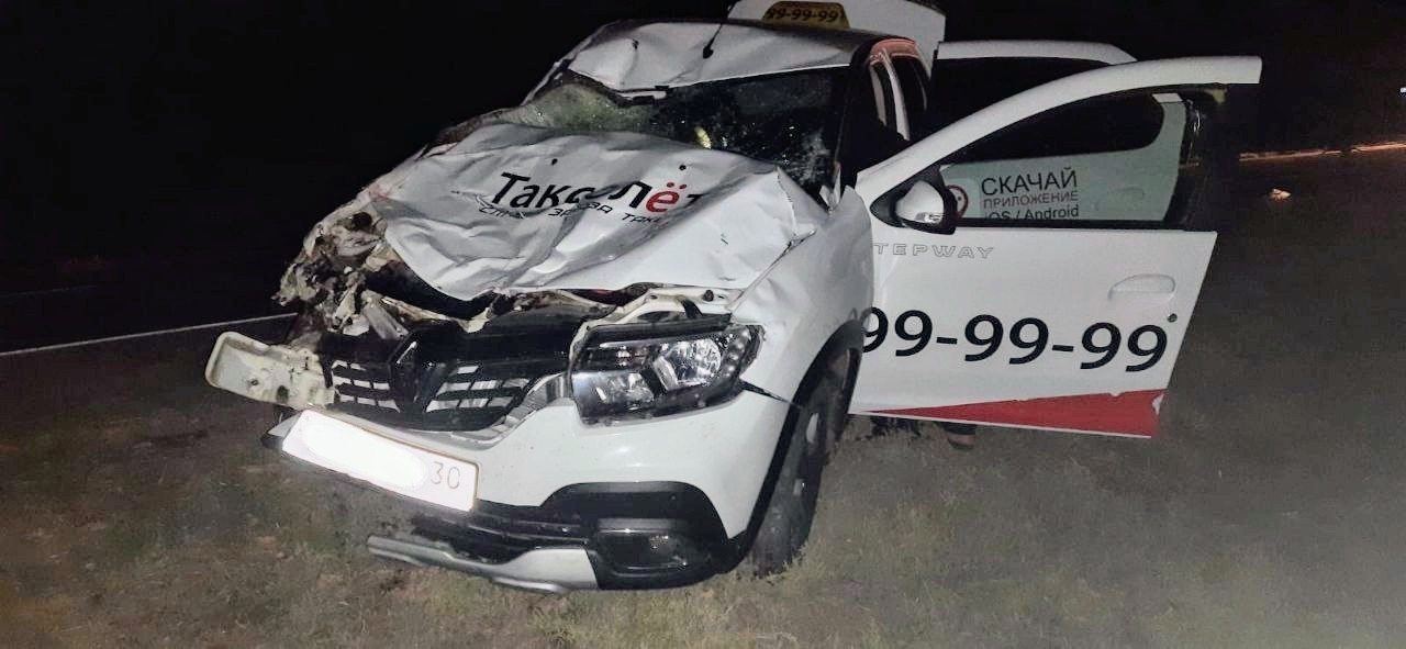 На астраханской трассе - смертельное ДТП: машина влетела в табун лошадей