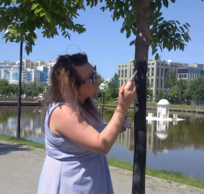 Японские софоры, пострадавшие от рук подростка на Лебедином озере, начали реанимировать