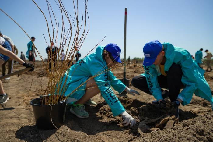 Новая роща от «Новых Людей»: в Трубном высадили 1500 саженцев 