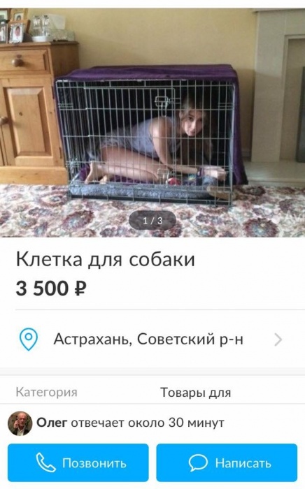 Фото дня: клетка для собаки