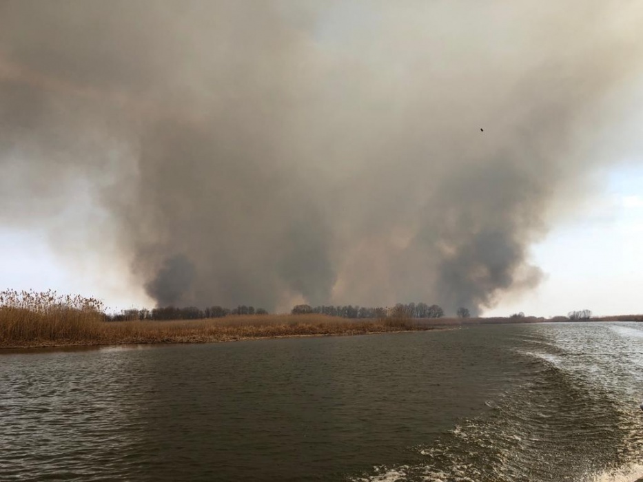 Президент Владимир Путин подписал документ о борьбе с ландшафтными пожарами