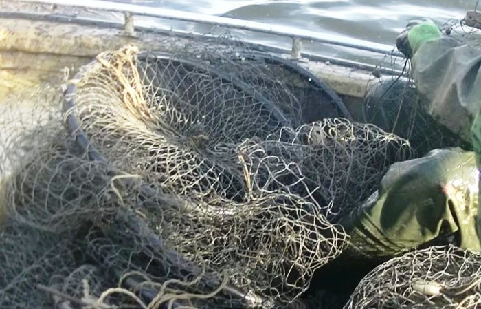 С апреля в Астраханской области у рыболовов-любителей изъяли более 2000 запрещенных орудий лова