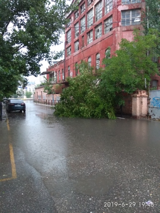 В центре Астрахани упало дерево, на которое давно жаловались местные жители