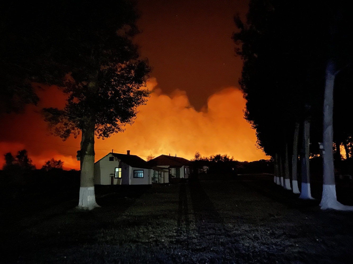Три дня борьбы: огонь выжег в Астраханском биосферном заповеднике более 3 000 гектаров земли