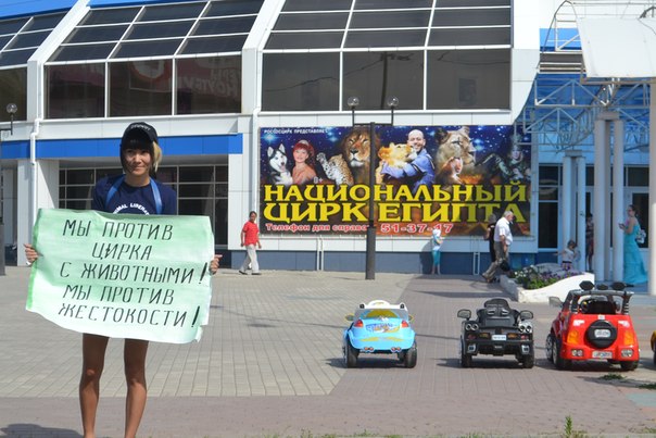 В Астрахани прошел одиночный пикет против циркачей
