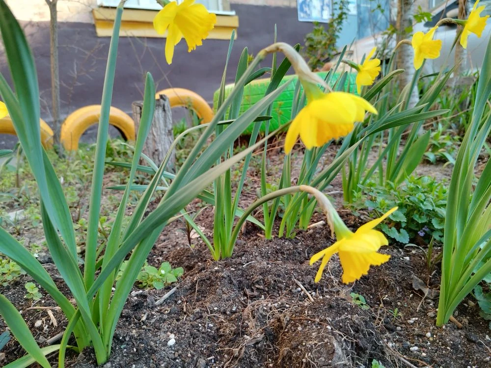 Тепло в Астрахани набирает обороты