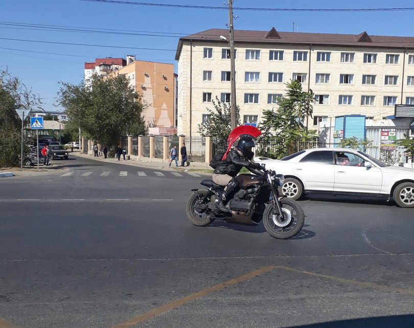 Фото дня: центурион на коне 