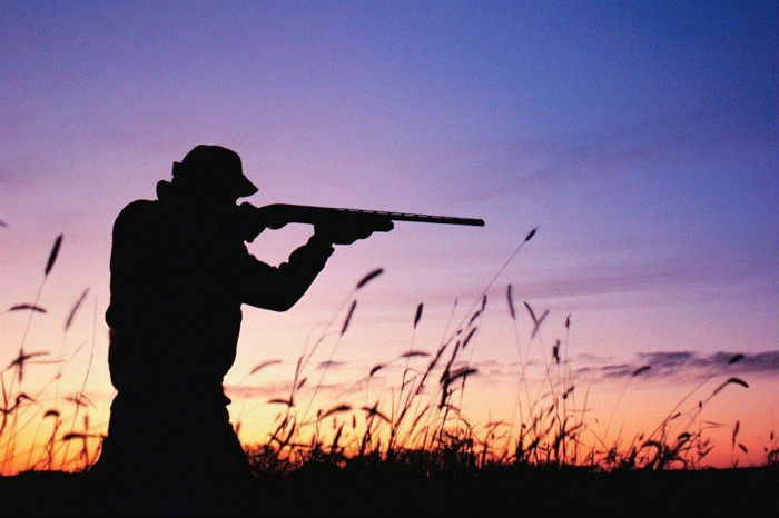 В Астраханской области открыт сезон охоты: 60 правонарушений за выходные