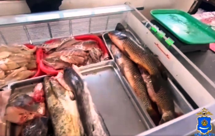 В ходе рейда по торговым точкам Астрахани полиция конфисковала 150 кг рыбы и 400 бутылок алкоголя