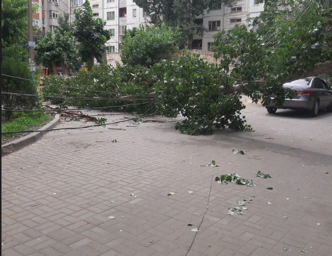 На одной из улиц Астрахани упавшее дерево уронило две опоры ЛЭП, которые упали на газовую трубу