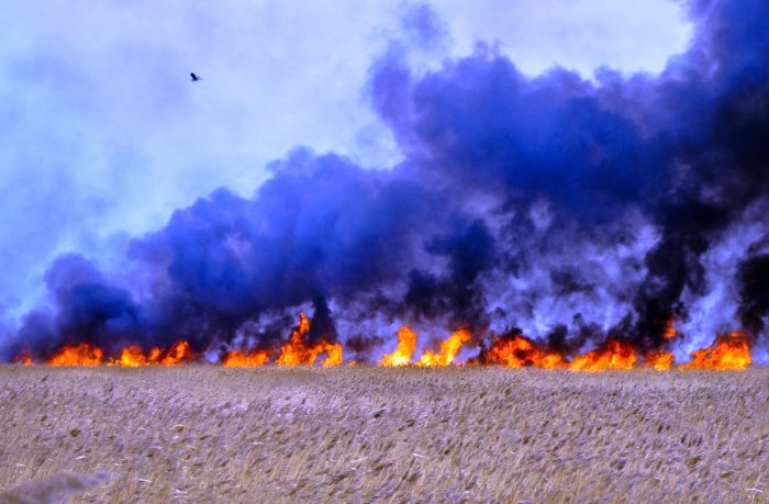 Вечером на севере Астраханской области шло сражение с 1,5-километровым фронтом пожара