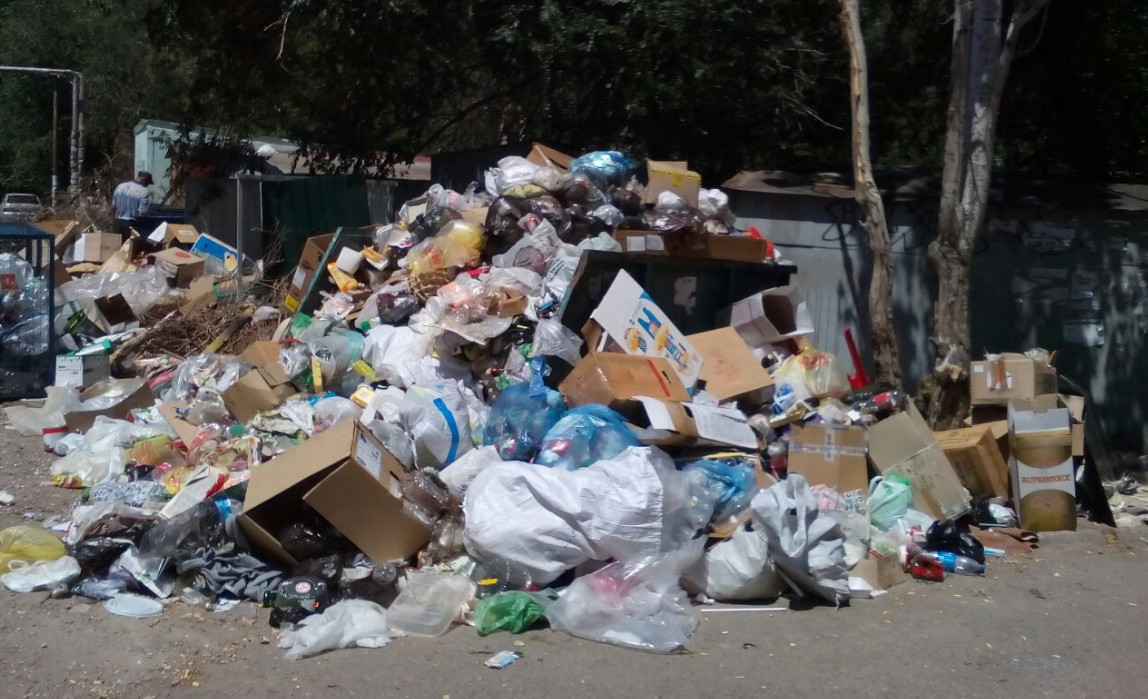 «Опарыши?» – «Да-да, опарыши!»: новый регоператор начинает разгребать мусорные завалы