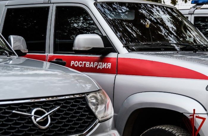 В Астрахани росгвардейцы помешали украсть брендовые куклы