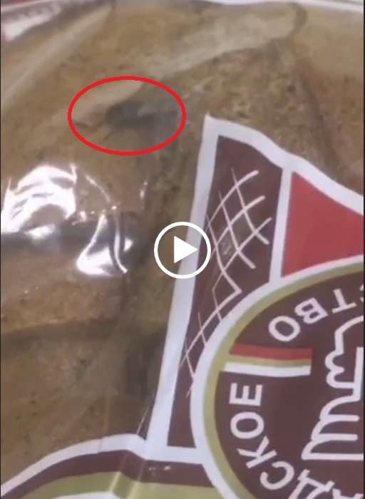 Астраханцам в хлебе попалась живая муха. Продавщица не растерялась