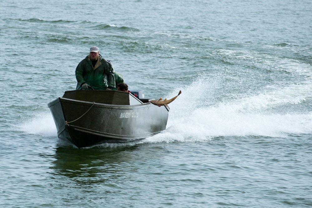 Погоня в Каспийском море: астраханские силовики остановили браконьерскую лодку оружием