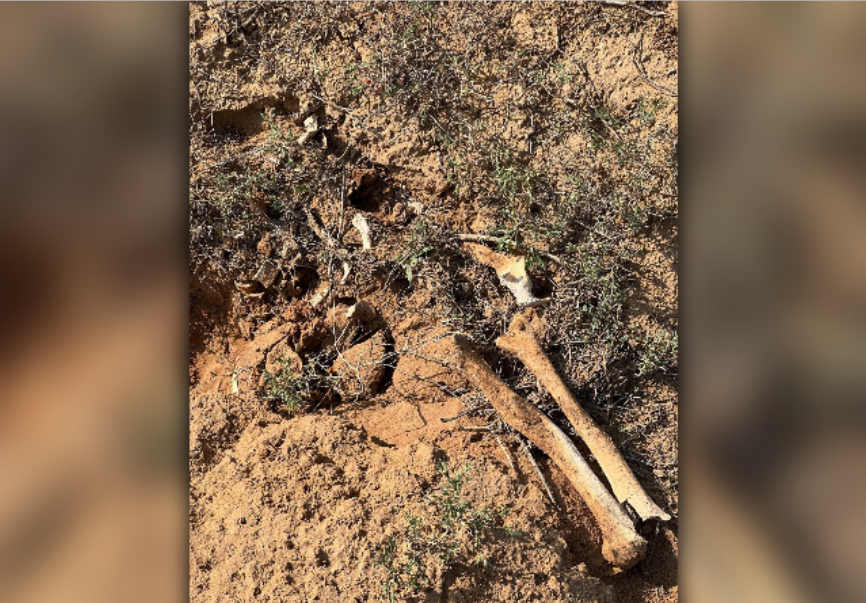 В Астраханской области неизвестные разрушили памятник истории и культуры