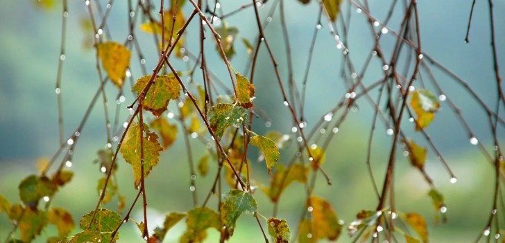Во вторник астраханцам обещают дождь с грозой
