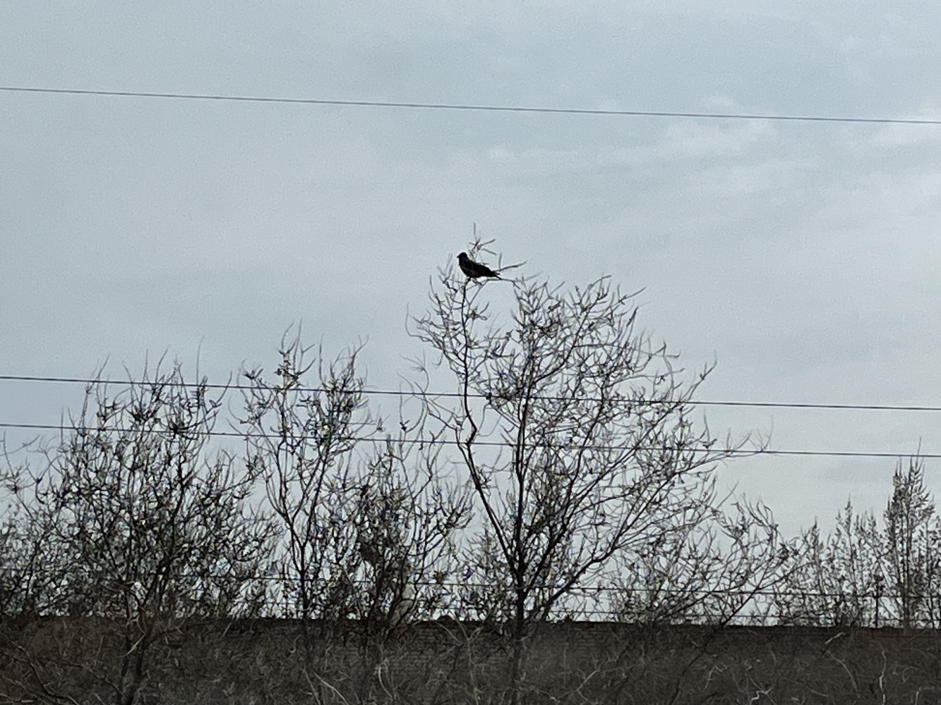 Завтра в Астраханской области обещают апрельскую грозу