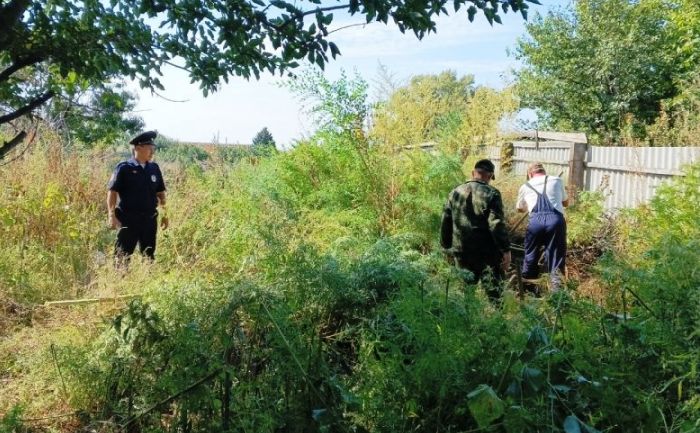В Астраханской области за второй этап операции «Мак» изъяли 14 кг наркотиков и уничтожили более 109 га наркосодержащих растений