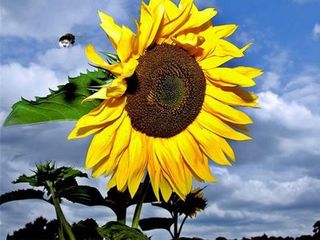 Погода в августе