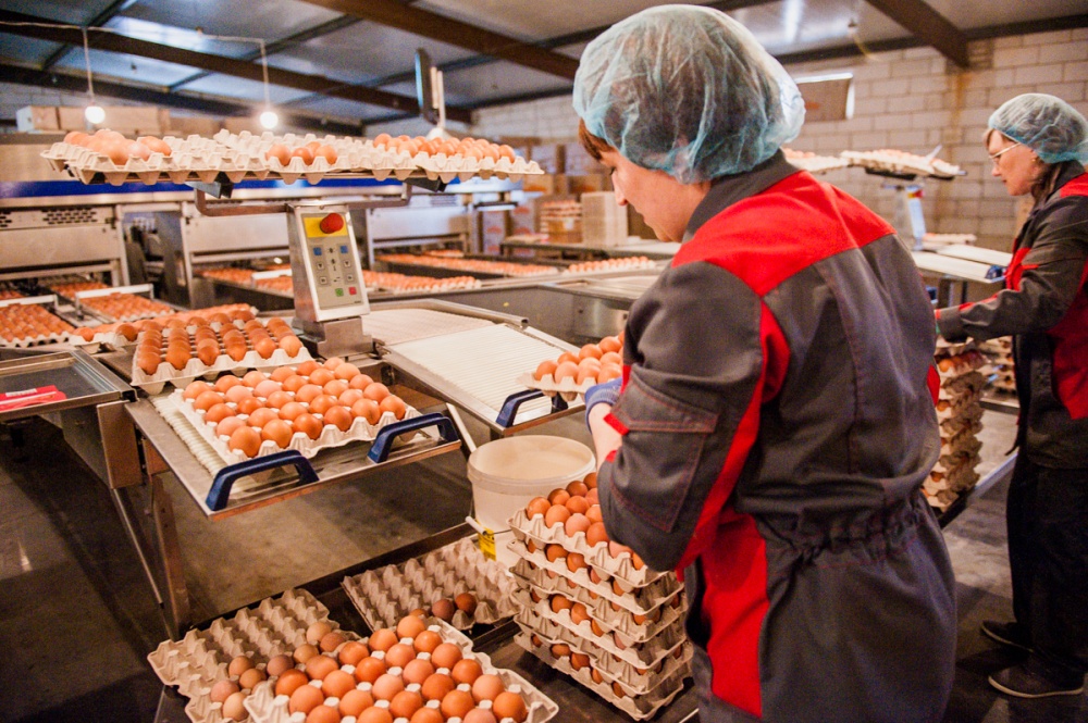 Игорь Бабушкин поручил региональному минсельхозу проработать механизмы поддержки астраханских аграриев