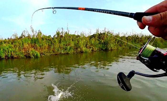 Астраханскую область признали в России самым желанным местом для осенней рыбалки