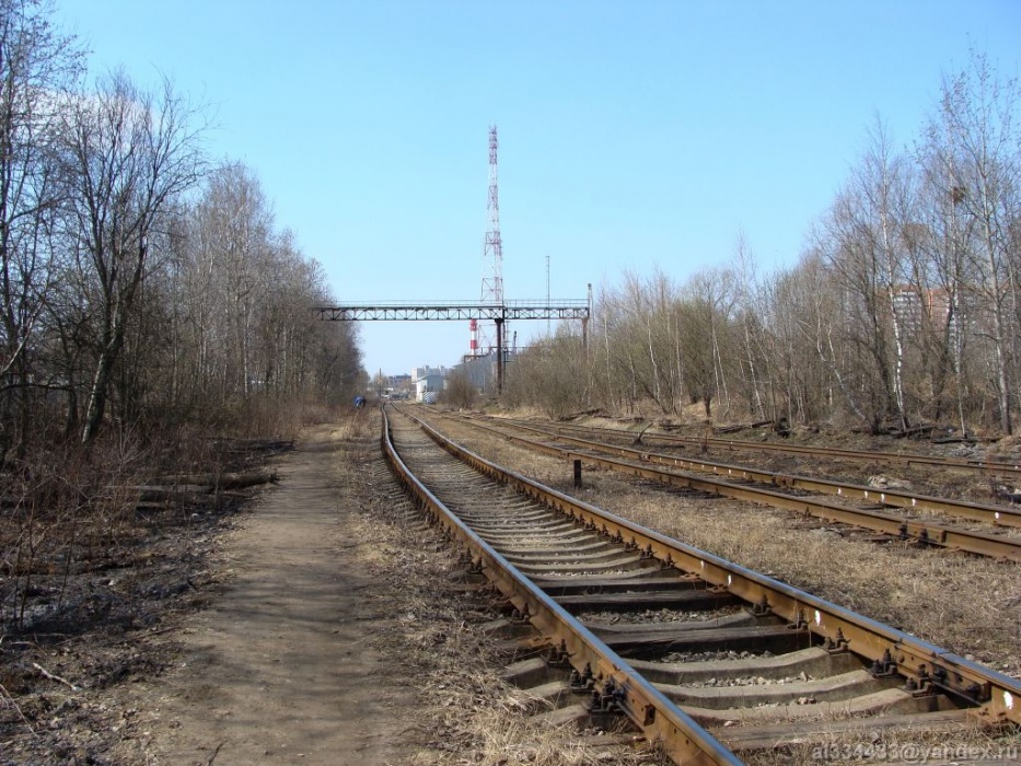 Подробности трагедии под Астраханью, в которой погиб дебошир поезда