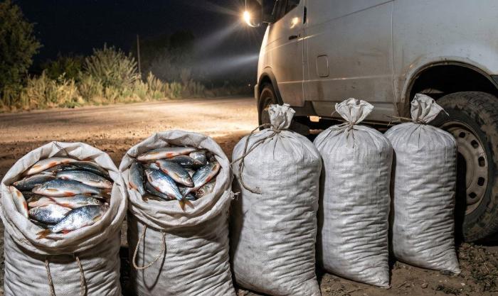 Случайная находка: астраханец попытался объяснить полиции где взял 21 мешок воблы