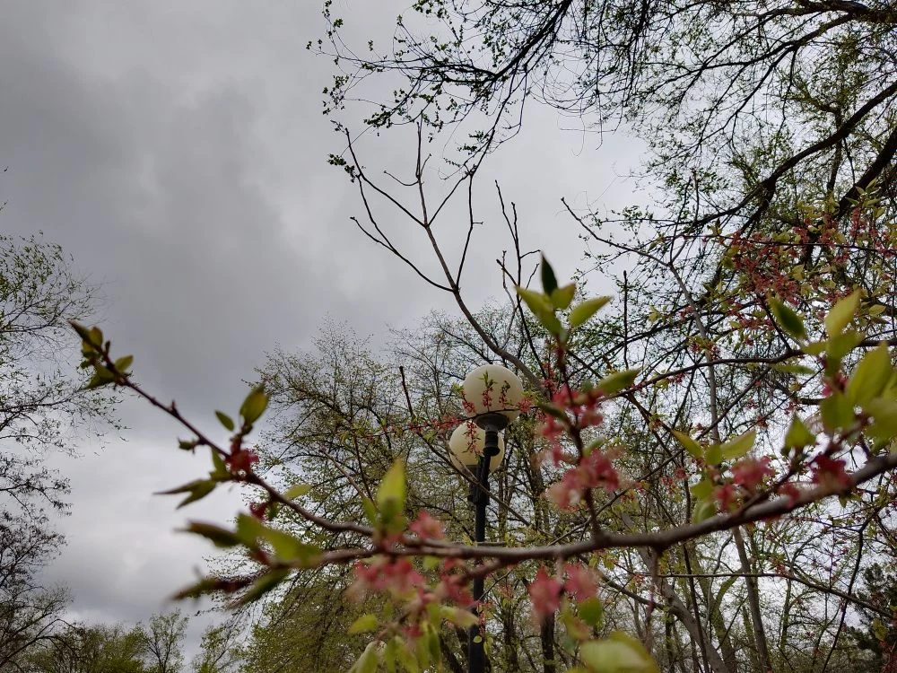 Дождливая погода зарядила в Астрахани