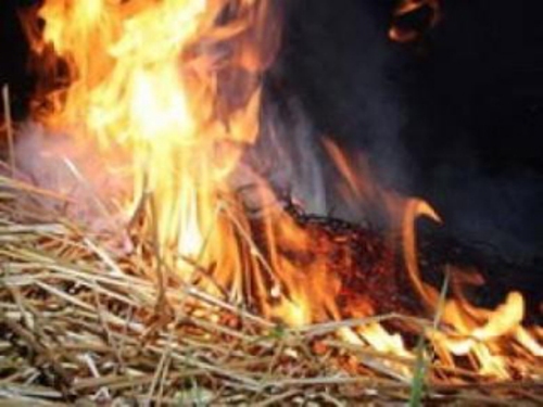 В Астраханской области 10 тонн сена сгорели из-за курильщика