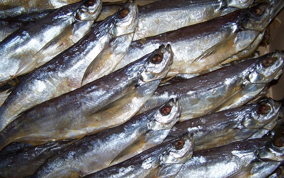 Более пяти тонн рыбы не выпустили из Астраханской области