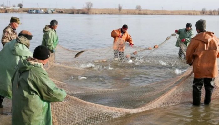 Словили: в сети астраханских промрыбаков зашло самое малое количество рыбы в новом веке