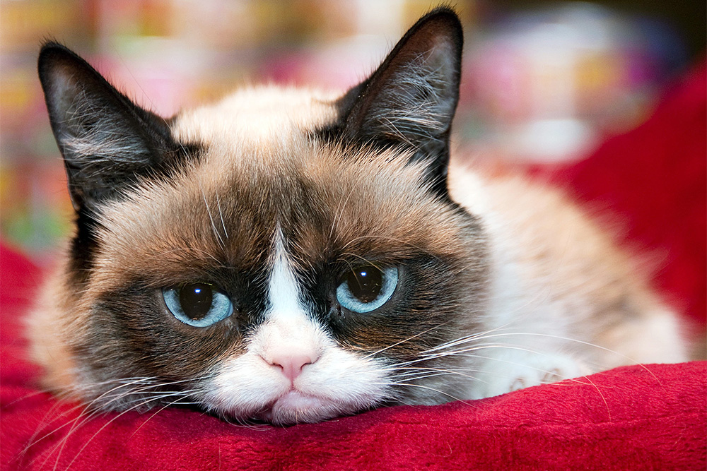 Молодой астраханец заказал интимные услуги, а в итоге потерял 15 000 рублей