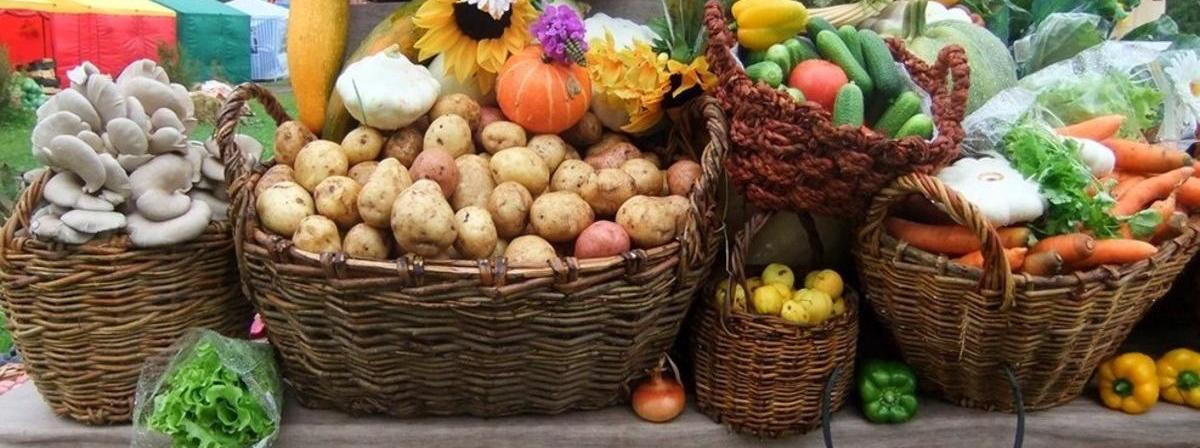 В субботу астраханцев ждет сельскохозяйственная ярмарка