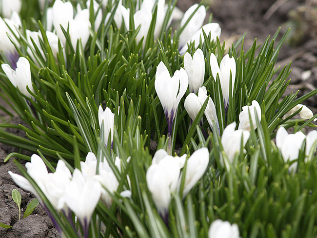 Астраханская погода в апреле